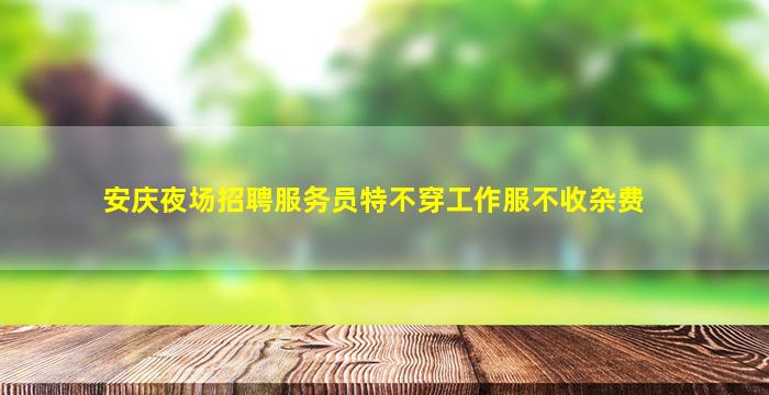 景德镇夜场招聘